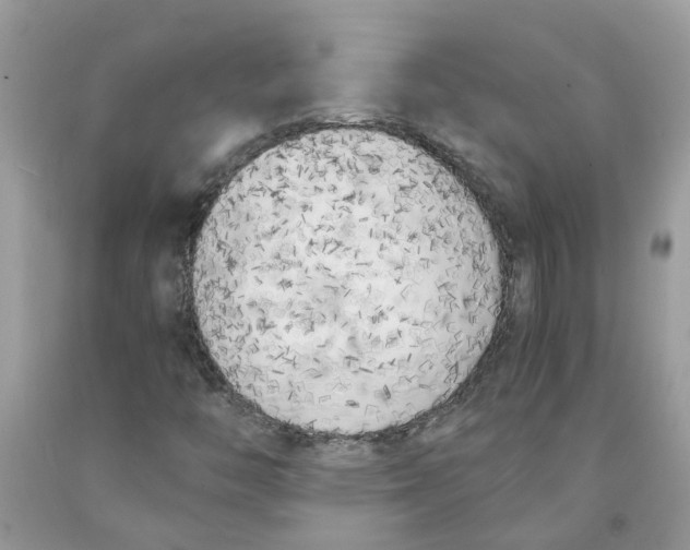 X0000091521446200709141405
