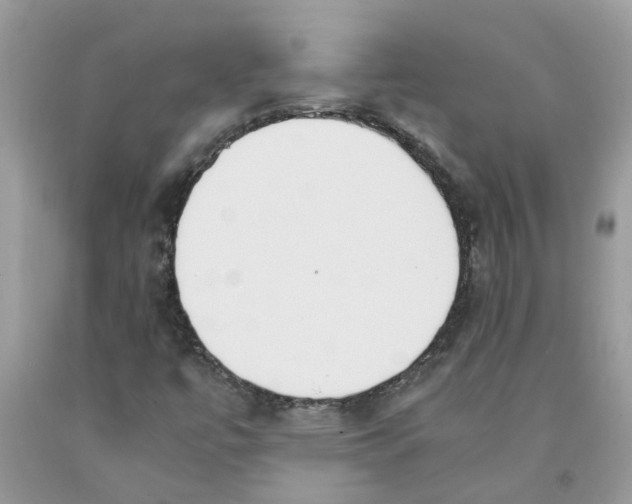 X0000091521447200709141405