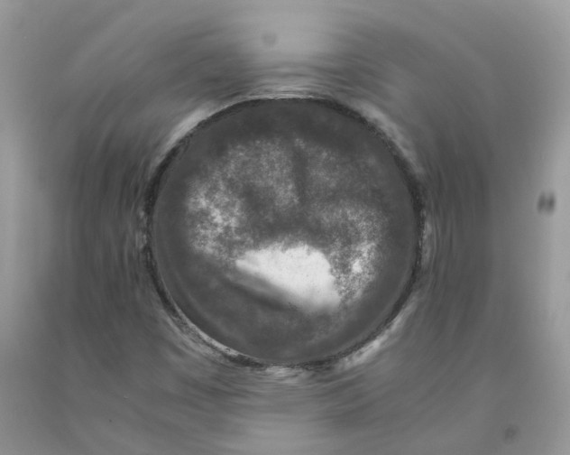 X0000091521449200709141405