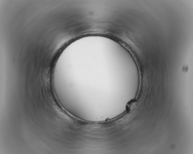 X0000091521450200709141405