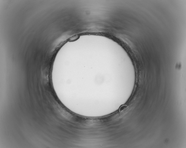 X0000091521451200709141405