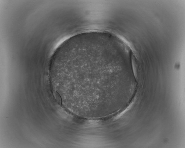 X0000091521453200709141405