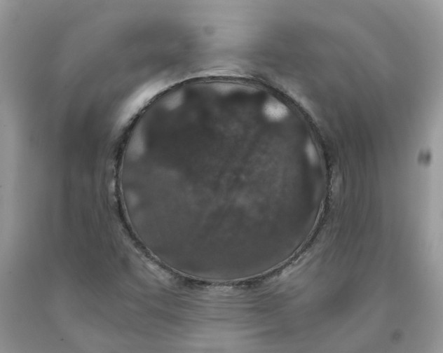 X0000091521455200709141405