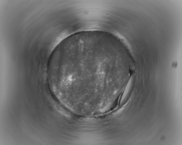 X0000091521457200709141405