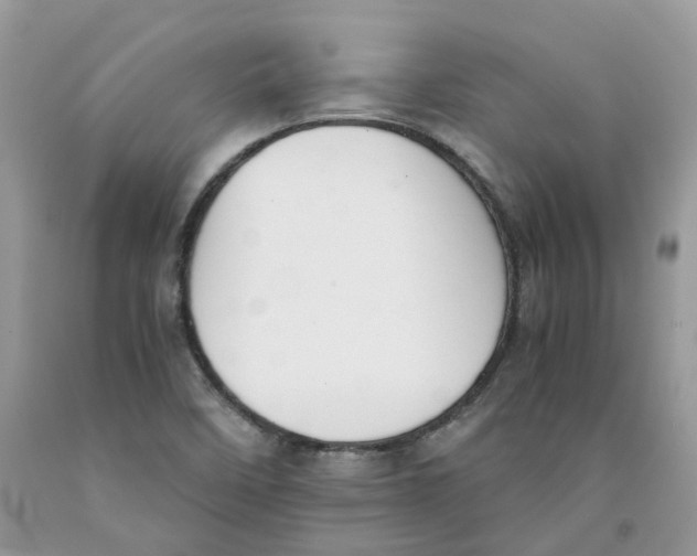 X0000091521458200709141405