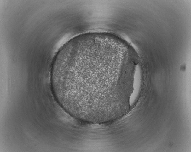 X0000091521459200709141405