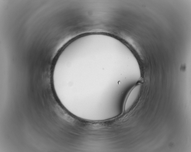 X0000091521460200709141405