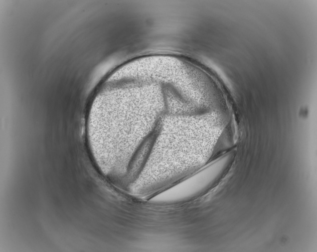 X0000091521461200709141405