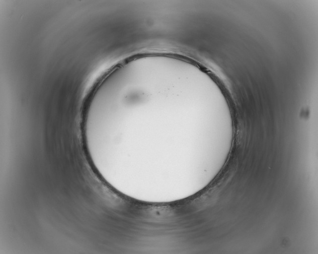 X0000091521464200709141405