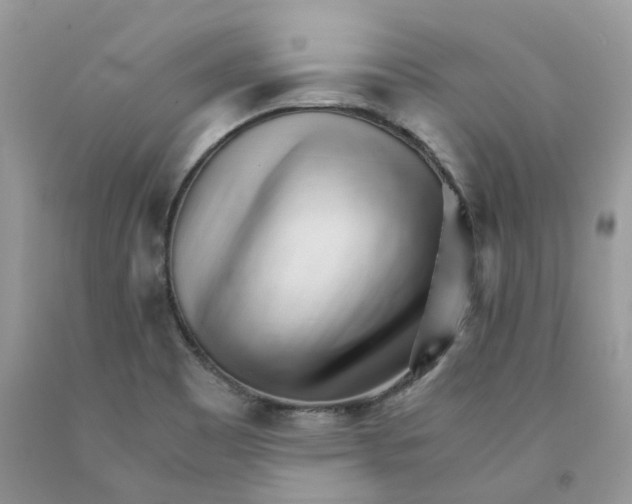 X0000091521465200709141405