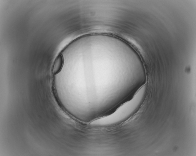 X0000091521467200709141405