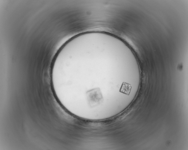 X0000091521468200709141405