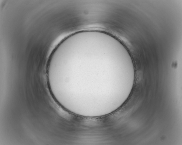 X0000091521470200709141405