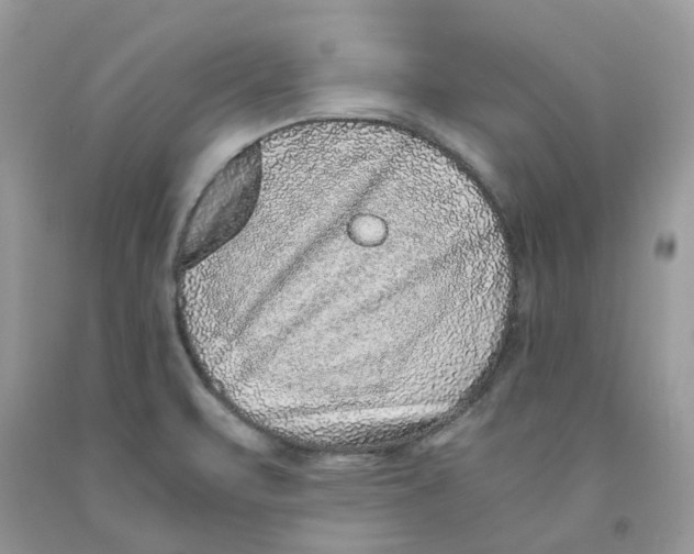 X0000091521471200709141405