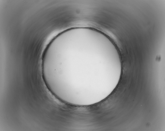 X0000091521472200709141405