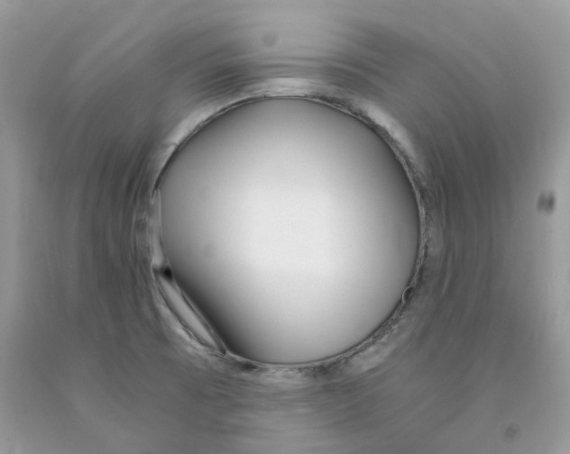 X0000091521473200709141405