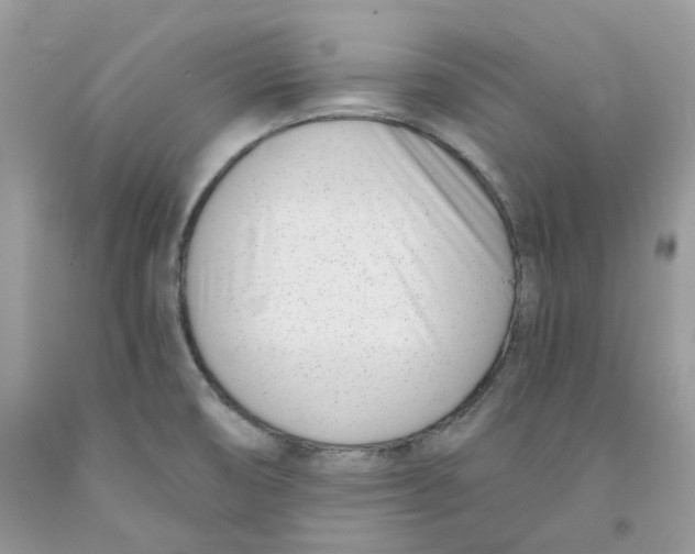 X0000091521474200709141405