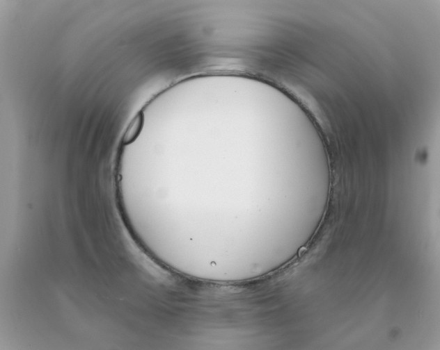 X0000091521475200709141405