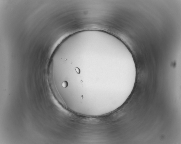 X0000091521476200709141405