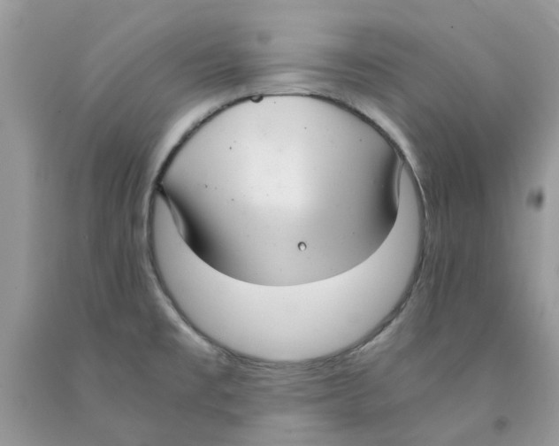 X0000091521477200709141405