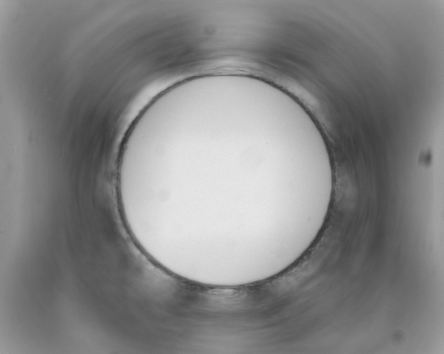 X0000091521478200709141405