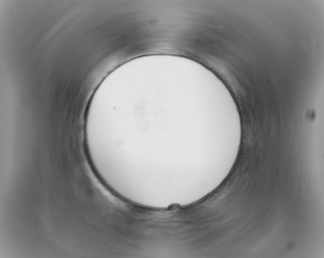 X0000091521479200709141405