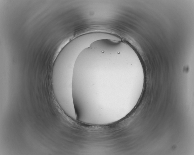 X0000091521481200709141405