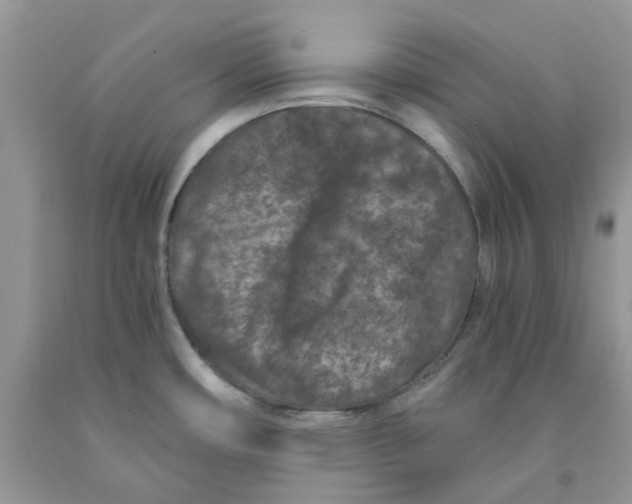 X0000091521482200709141405