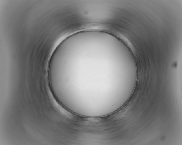 X0000091521483200709141405