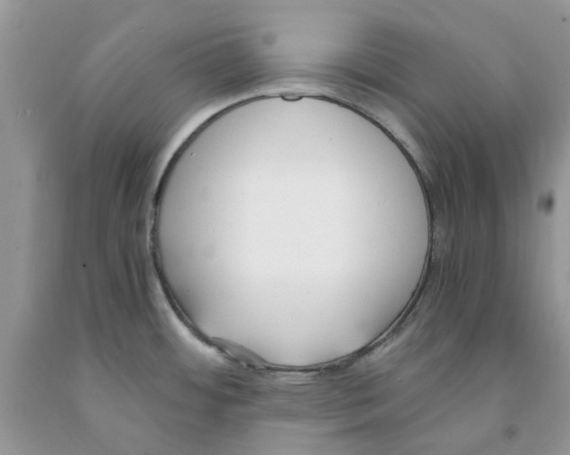 X0000091521484200709141405