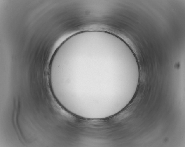 X0000091521486200709141405