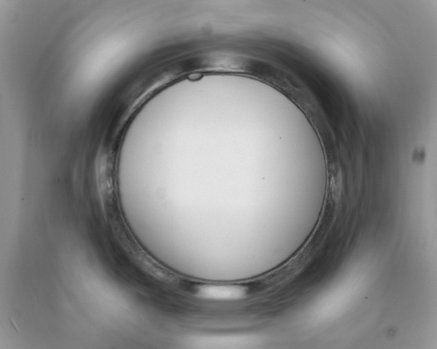 X0000091521487200709141405