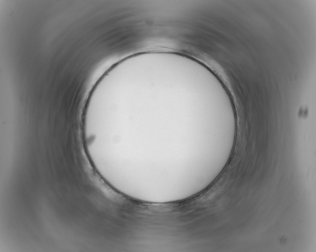 X0000091521488200709141405