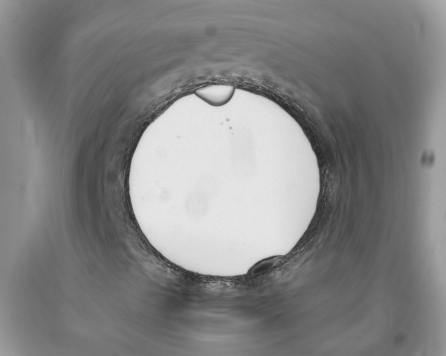 X0000091521489200709141404