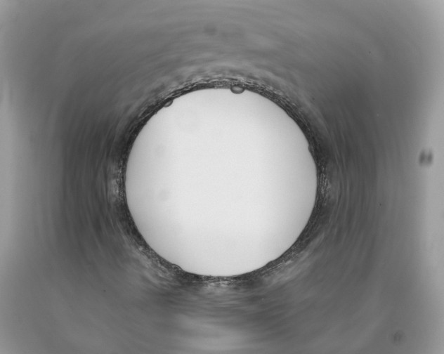 X0000091521490200709141404