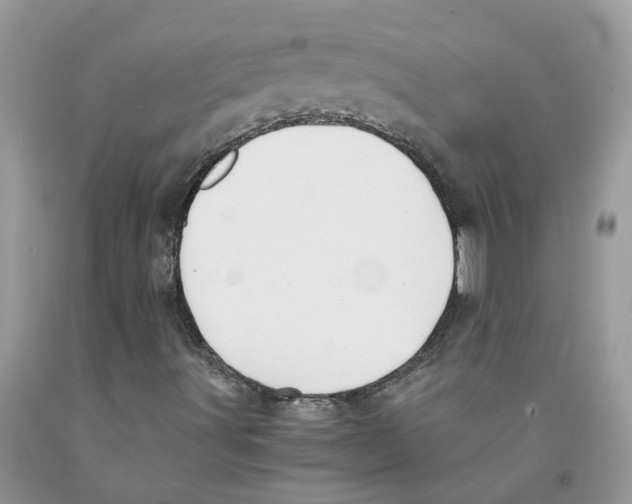 X0000091521491200709141404