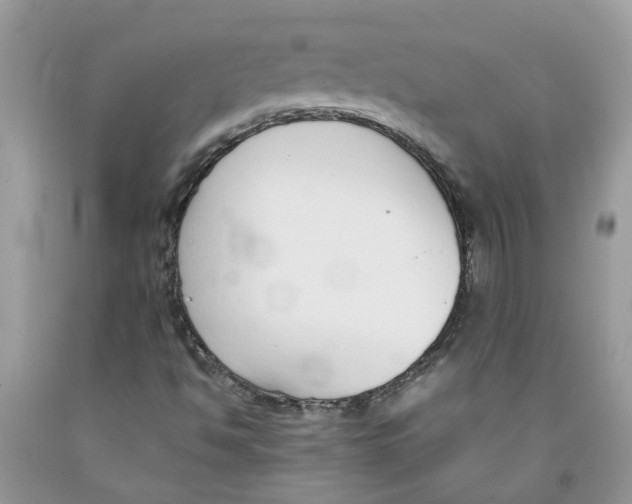 X0000091521494200709141404