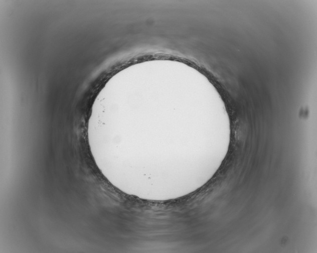 X0000091521495200709141404