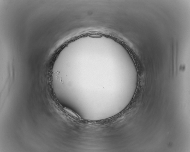 X0000091521496200709141404