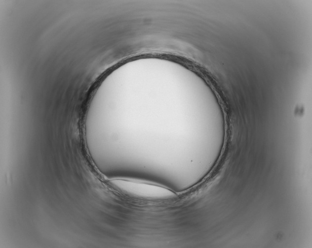 X0000091521497200709141404