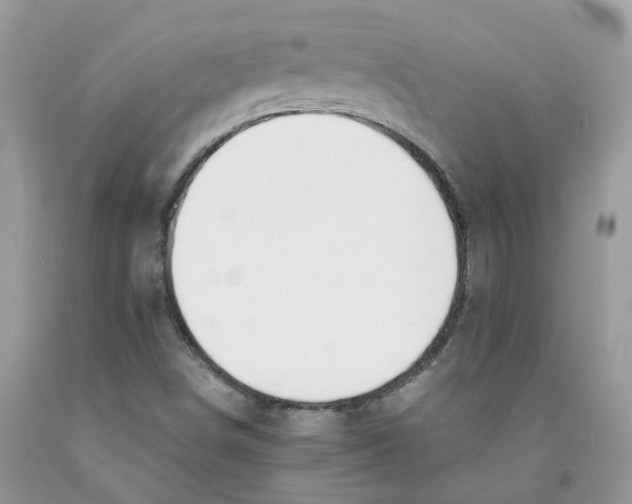 X0000091521498200709141404