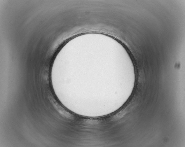 X0000091521499200709141404