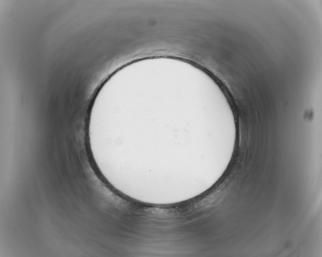 X0000091521500200709141404