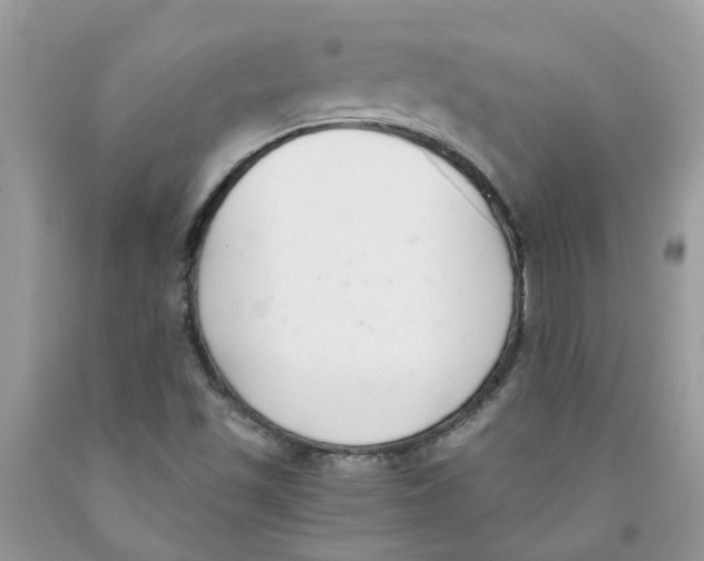 X0000091521501200709141404