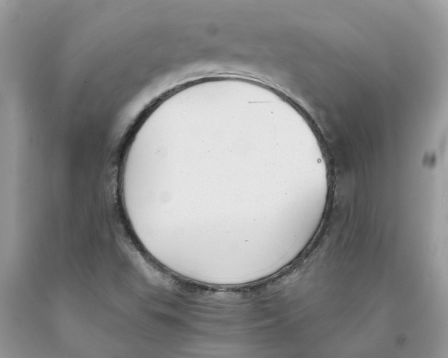 X0000091521503200709141404