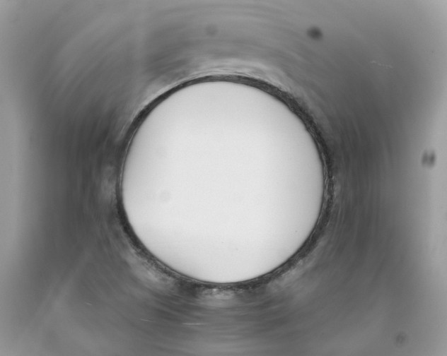 X0000091521505200709141404