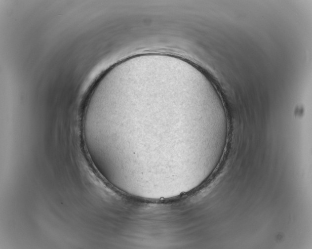 X0000091521506200709141404