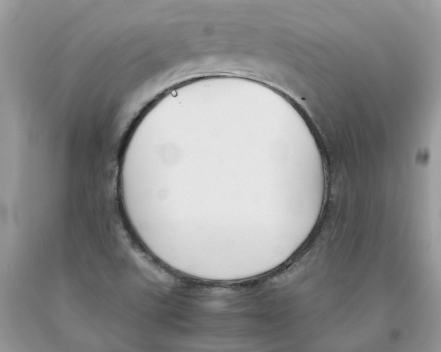 X0000091521507200709141404