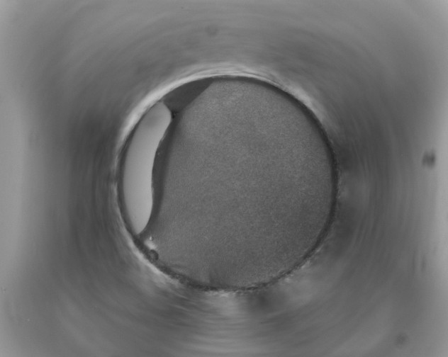 X0000091521508200709141404