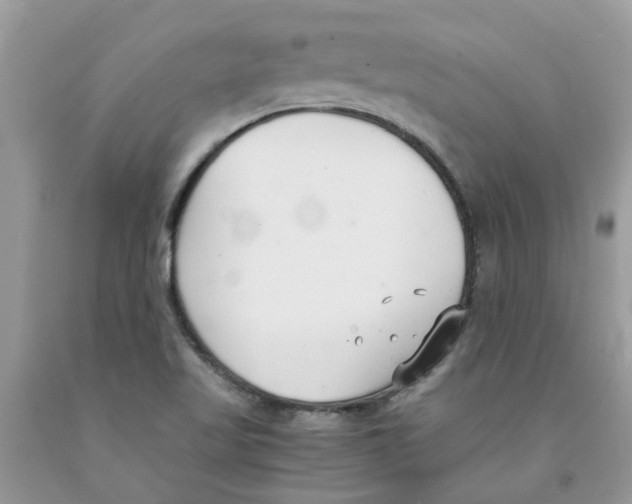 X0000091521509200709141404